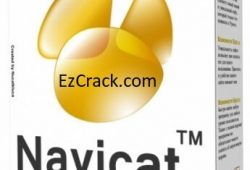 Navicat Premium Crack 12 Full Version